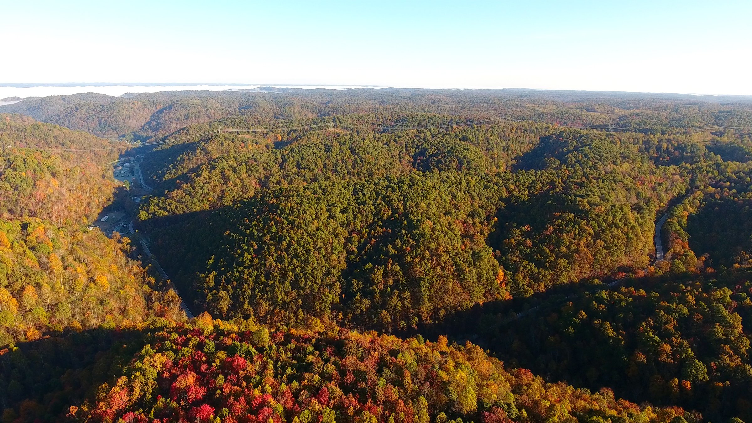 Property photo 27 - LAND AUCTION - 1,682+/- ACRES OFFERED IN 17 TRACTS IN LEWIS & GREENUP COUNTIES, KENTUCKY